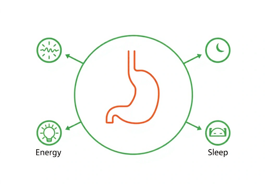 Diagramme du cercle vertueux alimentation-énergie